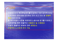 [복리후생, 카페테리아식 복리후생] 복리후생제도(현대건설, LG유통, IBM)-17