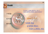 [자기개발서] The Secret-15