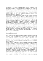 [미니멀리즘] 미니멀리즘의 개념, 특성과 미니멀리즘의 배경 및 의상에서의 미니멀리즘, 건축에서의 미니멀리즘 심층 분석-5
