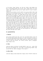 [ERP, DRM, 초고속인터넷기술] ERP기술(ERP기술의 정의, ERP기술요소기술), DRM기술(DRM기술의 정의, DRM기술의 요구사항), 무선LAN기술, 초고속인터넷기술(Ethernet, VDSL, ADSL, SDSL, HFC, HomePNA)에 관한 분석-7