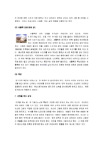 [배드민턴] 배드민턴 연구 조사 리포트(배드민턴의 가치와 규칙 및 기술)-11