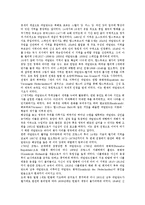 [네덜란드, 암스테르담] 네덜란드의 건축, 네덜란드의 역사, 네덜란드의 크리스마스, 네덜란드의 수도 암스테르담, 네덜란드의 관광지에 관한 분석-3