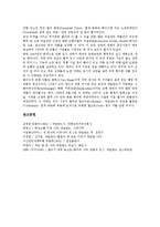 [네덜란드, 암스테르담] 네덜란드의 건축, 네덜란드의 역사, 네덜란드의 크리스마스, 네덜란드의 수도 암스테르담, 네덜란드의 관광지에 관한 분석-7
