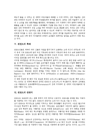 [핀란드, 사우나, 산타] 핀란드의 지리, 핀란드의 사우나, 핀란드의 교육제도, 핀란드의 산타마을, 핀란드의 축제, 핀란드의 관광지에 관한 분석-5