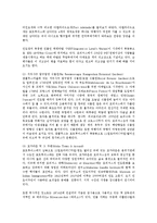 [관광학] 모리셔스ok-4