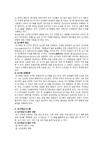 [도시공학] 도시계획에 대하여-3