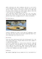 서양예절의 특징과 식사, 인사,문화에 대한 분석-18