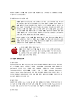 [경영학] [국제경영학]애플사 경영전략 및 성공요인 분석(A+리포트)-15