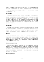 [e비즈니스] [e비즈니스]델컴퓨터 인터넷마케팅 성공사례 분석(A+리포트)-11