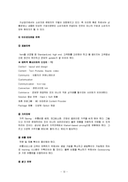 [e비즈니스] [e비즈니스]델컴퓨터 인터넷마케팅 성공사례 분석(A+리포트)-12