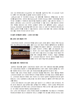 [경영학] [경영과의사결정]저가항공사의 개념과 운영전략 및 경영사례(A+리포트)-8