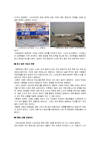 [경영학] [경영과의사결정]저가항공사의 개념과 운영전략 및 경영사례(A+리포트)-9