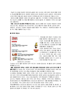 [경영학] [경영과의사결정]저가항공사의 개념과 운영전략 및 경영사례(A+리포트)-12