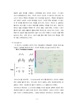 [물리화학,컨쥬게이션] 물리화학실험)컨쥬게이션 예비-2