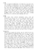 [인사조직] 글로벌화에 따른 다문화 경영-3