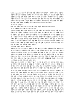 [문화컨텐츠] UCC의 문제점과 개선방안-4