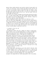 [문화컨텐츠] UCC의 문제점과 개선방안-5