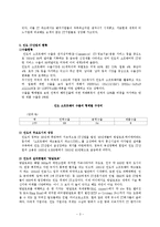 [인도IT산업] [국제경영] 인도의 IT산업[우수평가자료]-3