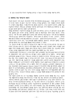 [인도IT산업] [국제경영] 인도의 IT산업[우수평가자료]-5