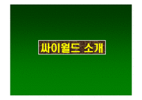 [마케팅] [마케팅] 싸이월드 마케팅 사례 발표-3