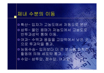 [간호] 간호 강의 자료-19
