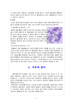 [백혈병] 백혈병 이란-2