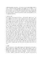 [비평이론] 문학비평이론 A+ 분석보고서-13
