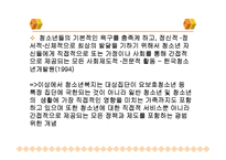 [청소년] 청소년복지의개념과발전과정-4