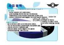 [사우스웨스트, 대차대조표, 경영학, 항공사] 사우스웨스트항공사 분석-14
