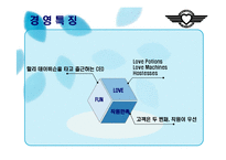 [사우스웨스트, 대차대조표, 경영학, 항공사] 사우스웨스트항공사 분석-16