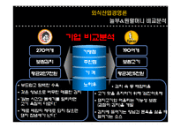 [외식산업, 외식경영,] 놀부보쌈과 원할머니보쌈 비교분석 / 경영분석-17