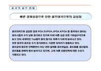 [레저스포츠, 사회체육,] 레저활동 소개 및 발전방향(스키,스노우보드,골프,번지점프)-17
