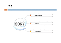 [마케팅원론] 소니(SONY)의 마케팅 전략[`A+레포트`]-2