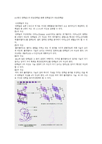 [일반생물학실험] 생물체 조성의 검사II(단백질의 검출)-2