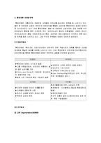 [마케팅] [인터넷마케팅]인터넷쇼핑몰 ‘롯데닷컴’ 마케팅전략 및 성공요인 분석(A+리포트)-10