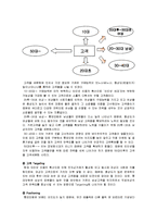 [마케팅] [인터넷마케팅]인터넷쇼핑몰 ‘롯데닷컴’ 마케팅전략 및 성공요인 분석(A+리포트)-11