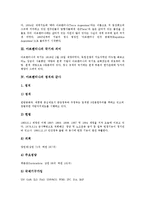 [아르헨티나] 아르헨티나의 발견, 아르헨티나의 국기와 의미, 아르헨티나의 정치와 군사, 아르헨티나의 경제와 산업, 아르헨티나의 교육정보화, 아르헨티나의 대외관계에 관한 분석-3