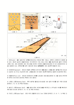 [예체능, 볼링] 볼링, 볼링의 역사, 볼링 에티켓, 볼링 점수 계산법과 실제, 볼링 규정-7