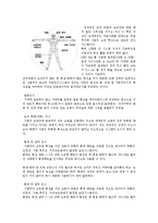 [생명공학] 생명공학-4