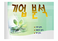[경영경제학] 에버랜드-14