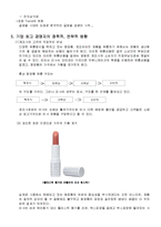 [경영경제학] 초저가브랜드미샤의성공사례및인터넷마케팅전략분석-3