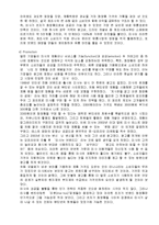 [경영경제학] 초저가브랜드미샤의성공사례및인터넷마케팅전략분석-11