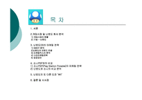 [마케팅] 닌텐도의 `NDS‘ 마케팅 전략 사례연구와 소니의 `PSP`와의 비교 연구-3