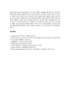 [IMT-2000, IMT-2000기술표준] IMT-2000의 개념, 특성, 공통성과 IMT-2000의 기술 표준, IMT-2000의 서비스 및 향후 IMT-2000의 전망 심층 분석-8