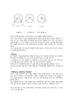 예절의 이해와 서양의 예절 문화(A+)-16