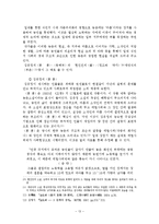 [문학] 한국사실주의 문학-13