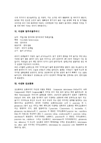 [야생꽃][야생화][야생초][야생식물]야생꽃 노랑제비꽃과 금창초, 야생꽃 알룩큰봉의 꼬리와 까치수염, 야생꽃 털중나리와 염주괴불주머니, 야생꽃 섬초롱꽃과 벌노랑이, 야생꽃 진달래와 나팔꽃(야생꽃, 야생화)-4