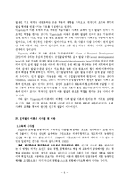 [사회학] 인지발달이론-7