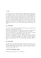 [이미지, 이미지의특성, 이미지의종류, 이미지의기능, 이미지의형성, 이미지의역할] 이미지의 특성, 이미지의 종류, 이미지의 기능, 이미지의 형성, 이미지의 역할에 관한 심층 분석-2