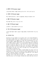 [이미지, 이미지의특성, 이미지의종류, 이미지의기능, 이미지의형성, 이미지의역할] 이미지의 특성, 이미지의 종류, 이미지의 기능, 이미지의 형성, 이미지의 역할에 관한 심층 분석-3